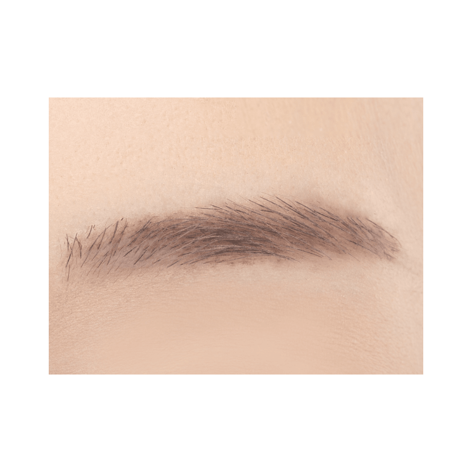 Cezanne Eyebrow &amp; Shade Powder