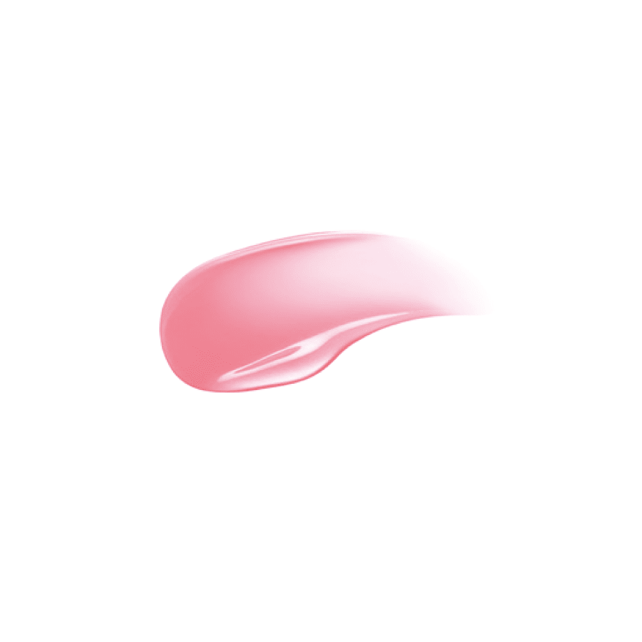 Cezanne Lasting Gloss Lip N