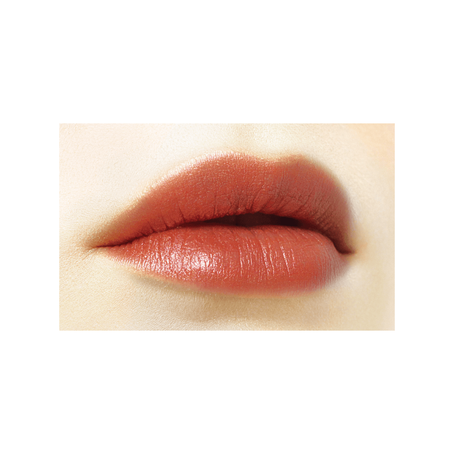 Cezanne Lip Color Shield – Ichiban Mart