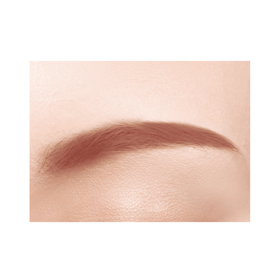 Cezanne Nose &amp; Eyebrow Powder