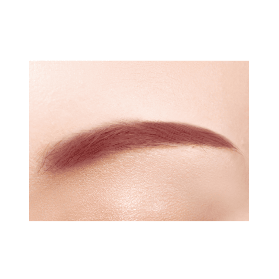 Cezanne Nose &amp; Eyebrow Powder