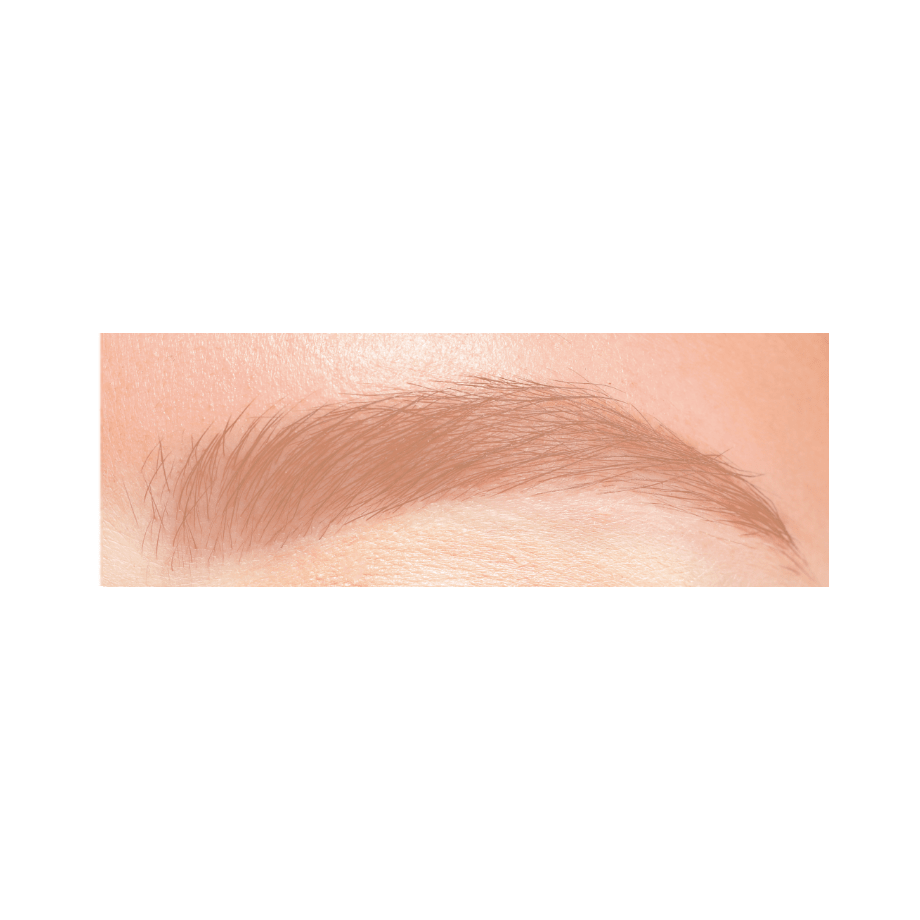 Cezanne Slim Eyebrow Color Mascara