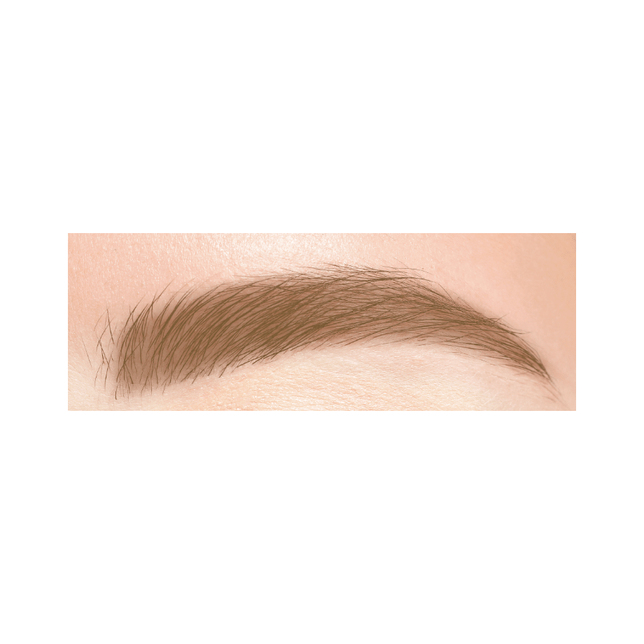 Cezanne Slim Eyebrow Color Mascara