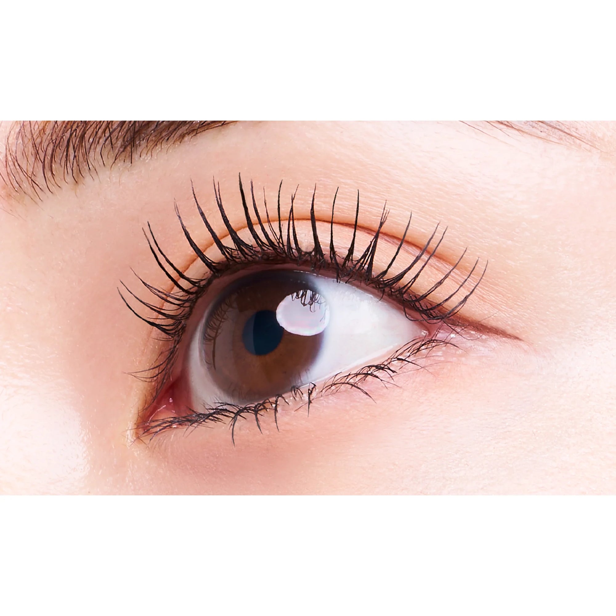 D-UP Curl Lock Mascara Base