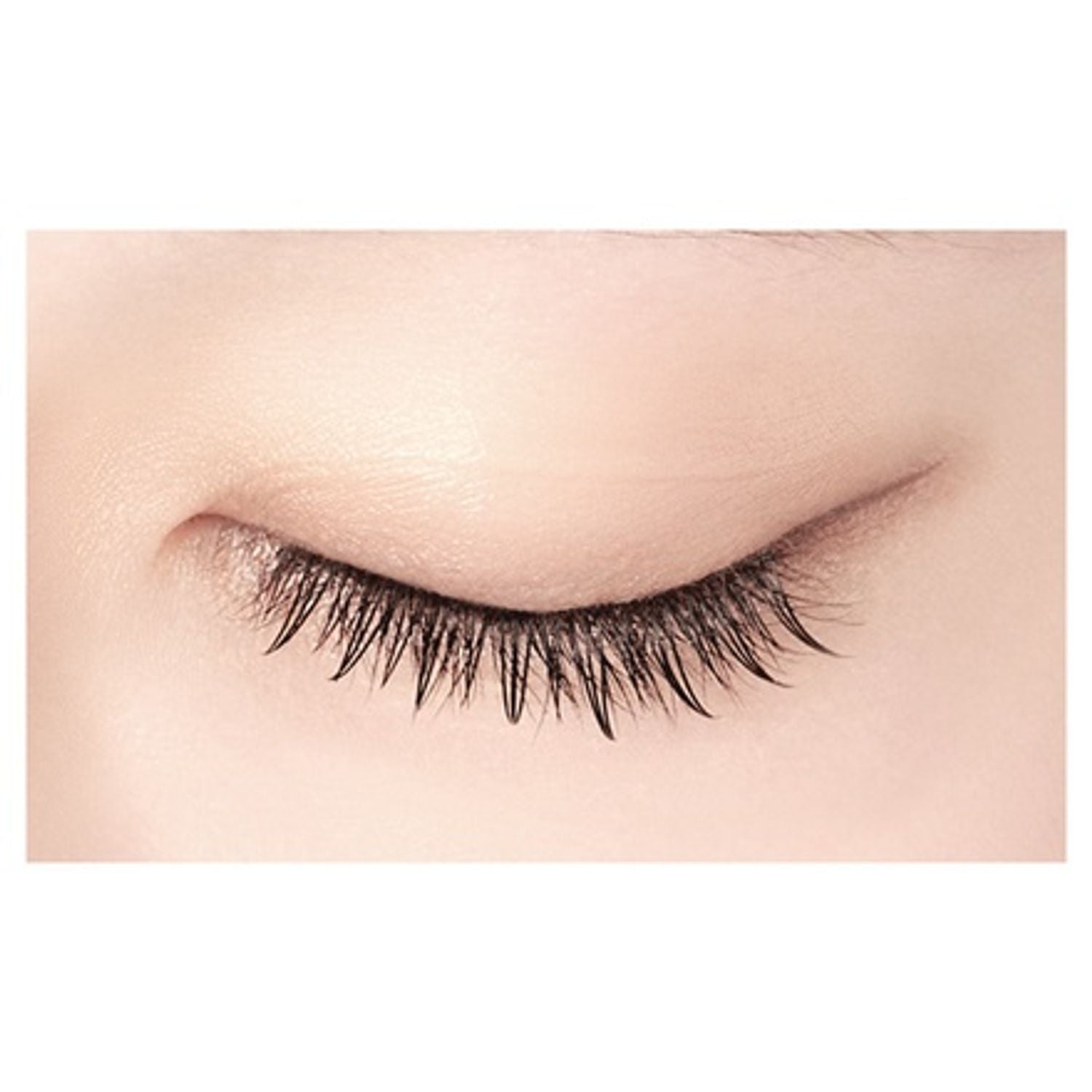 D-UP Lash Focus
