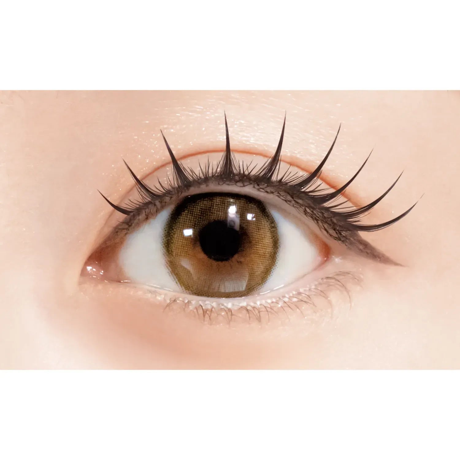 D-UP Lash Focus