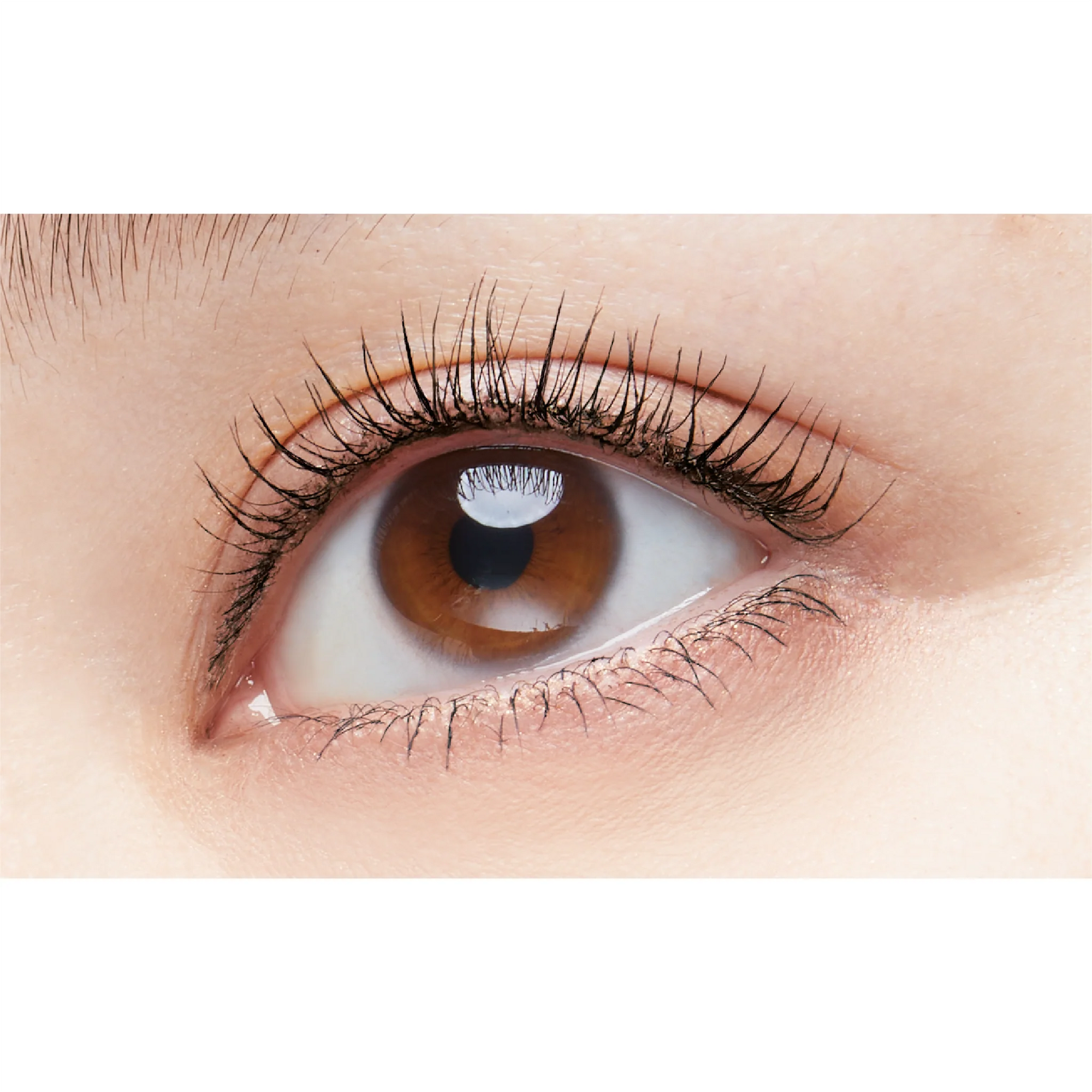 D-UP Perfect Extension Mascara