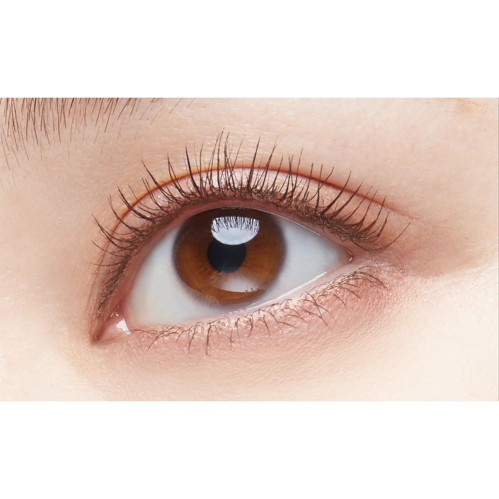 D-UP Perfect Extension Mascara