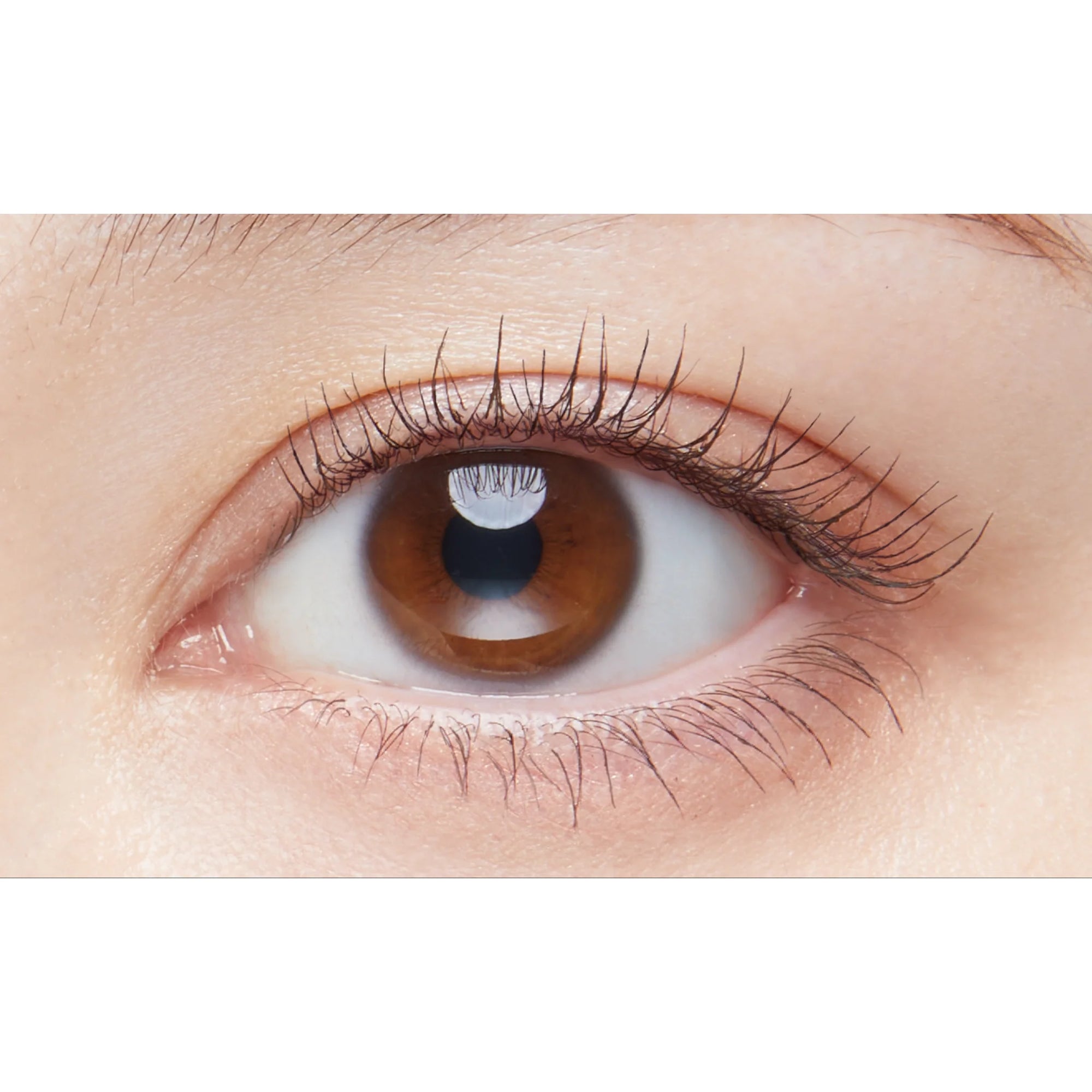 D-UP Perfect Extension Mascara