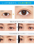 D-UP Wonder Eyelid Tape Point