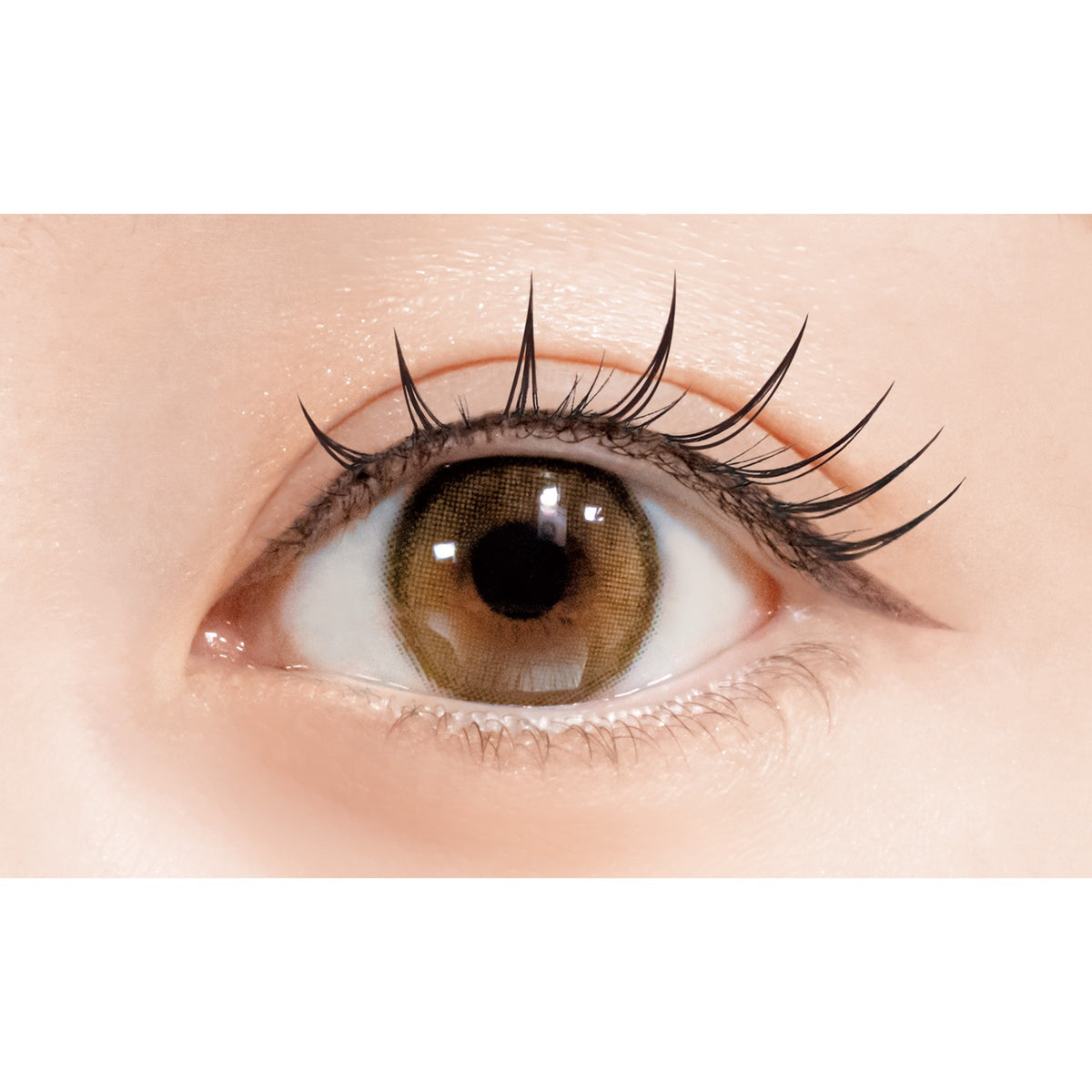 D-UP Lash Focus