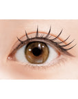 D-UP Lash Focus
