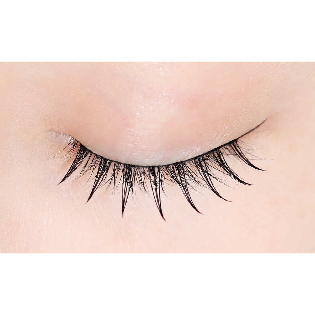 D-UP Lash Focus