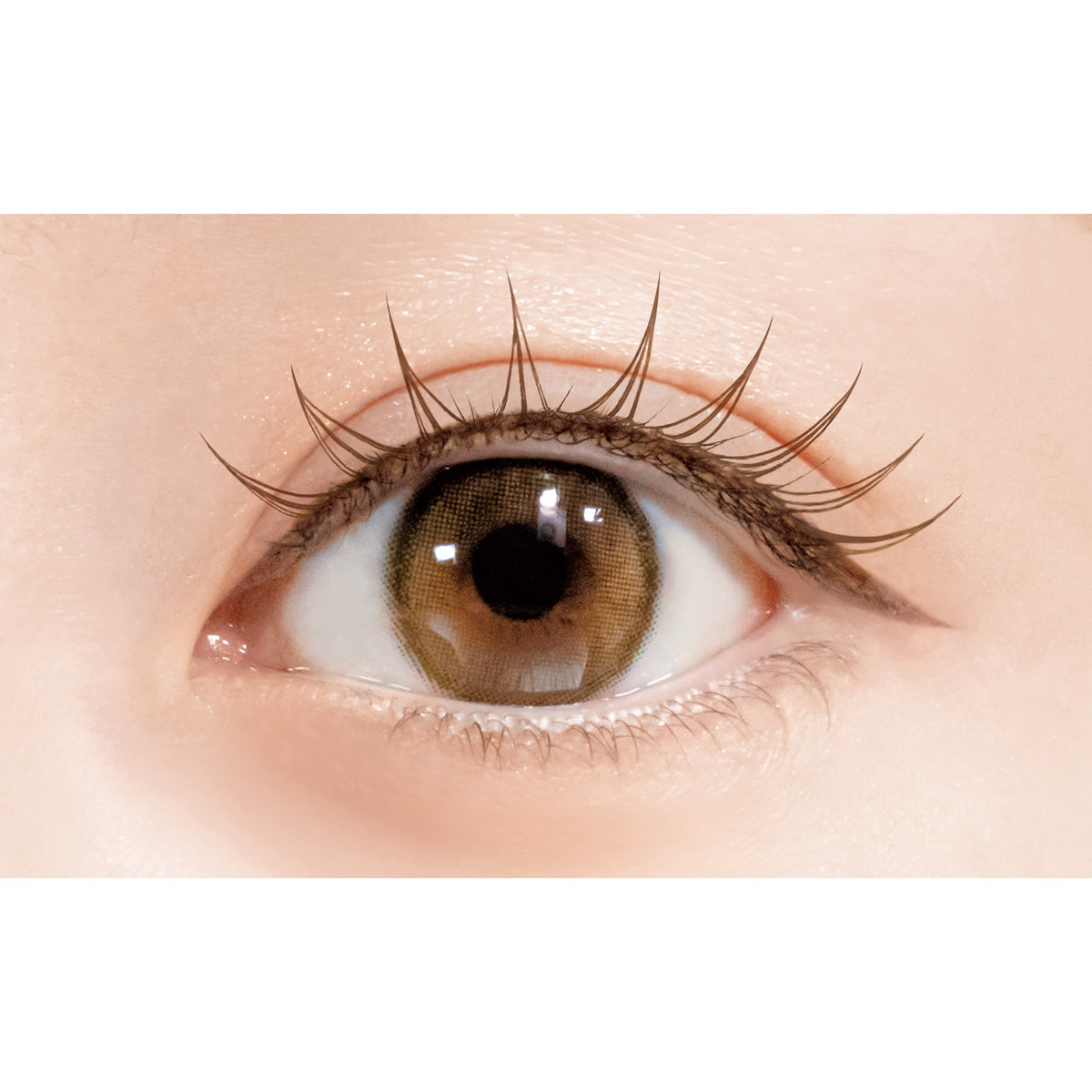 D-UP Lash Focus