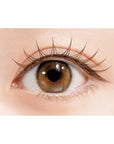 D-UP Lash Focus
