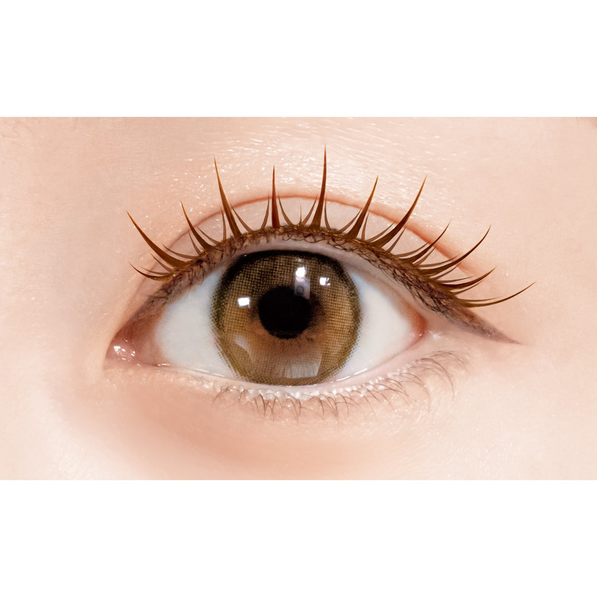D-UP Lash Focus