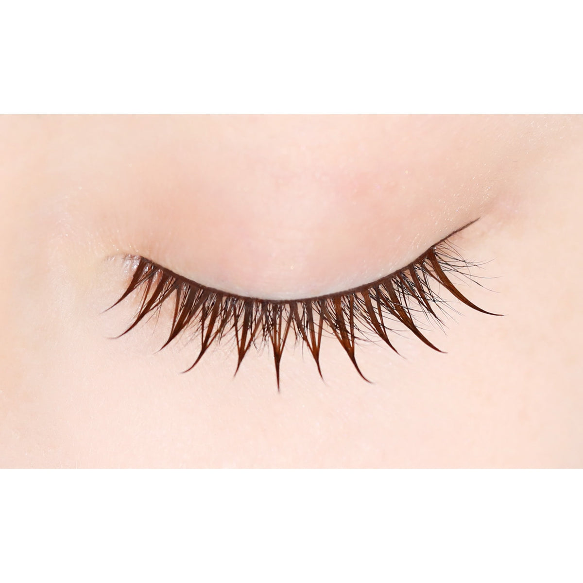 D-UP Lash Focus