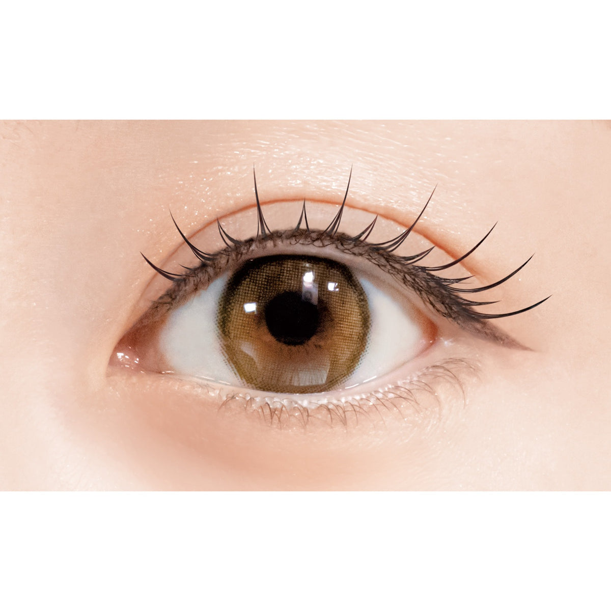D-UP Lash Focus