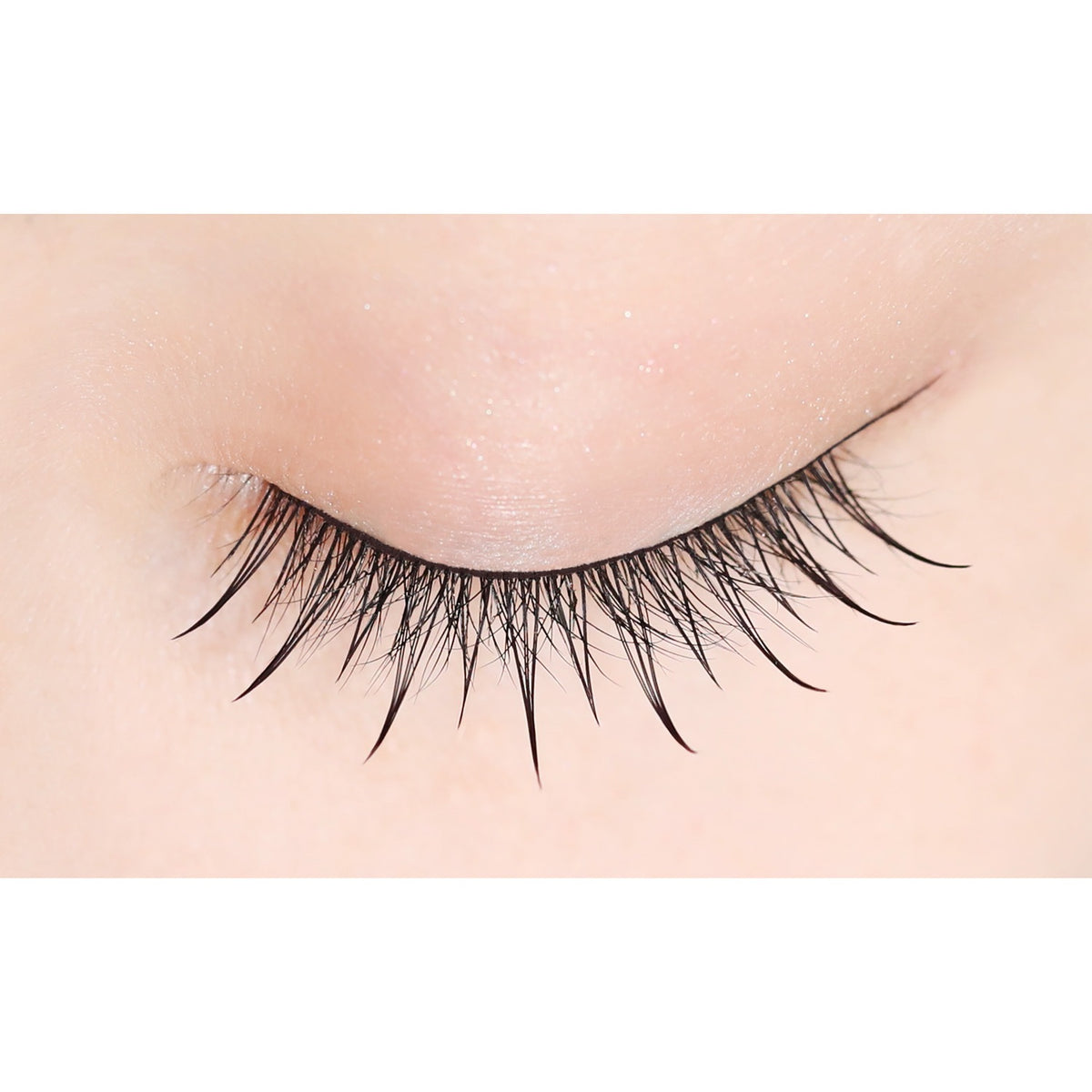 D-UP Lash Focus