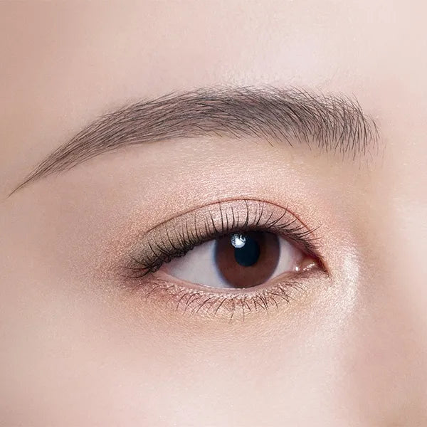 Decorte Skin Shadow Designing Palette