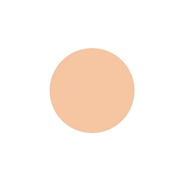 Decorte The Skin Powder Foundation Air