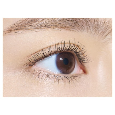 Dejavu Lash Curl Keeper