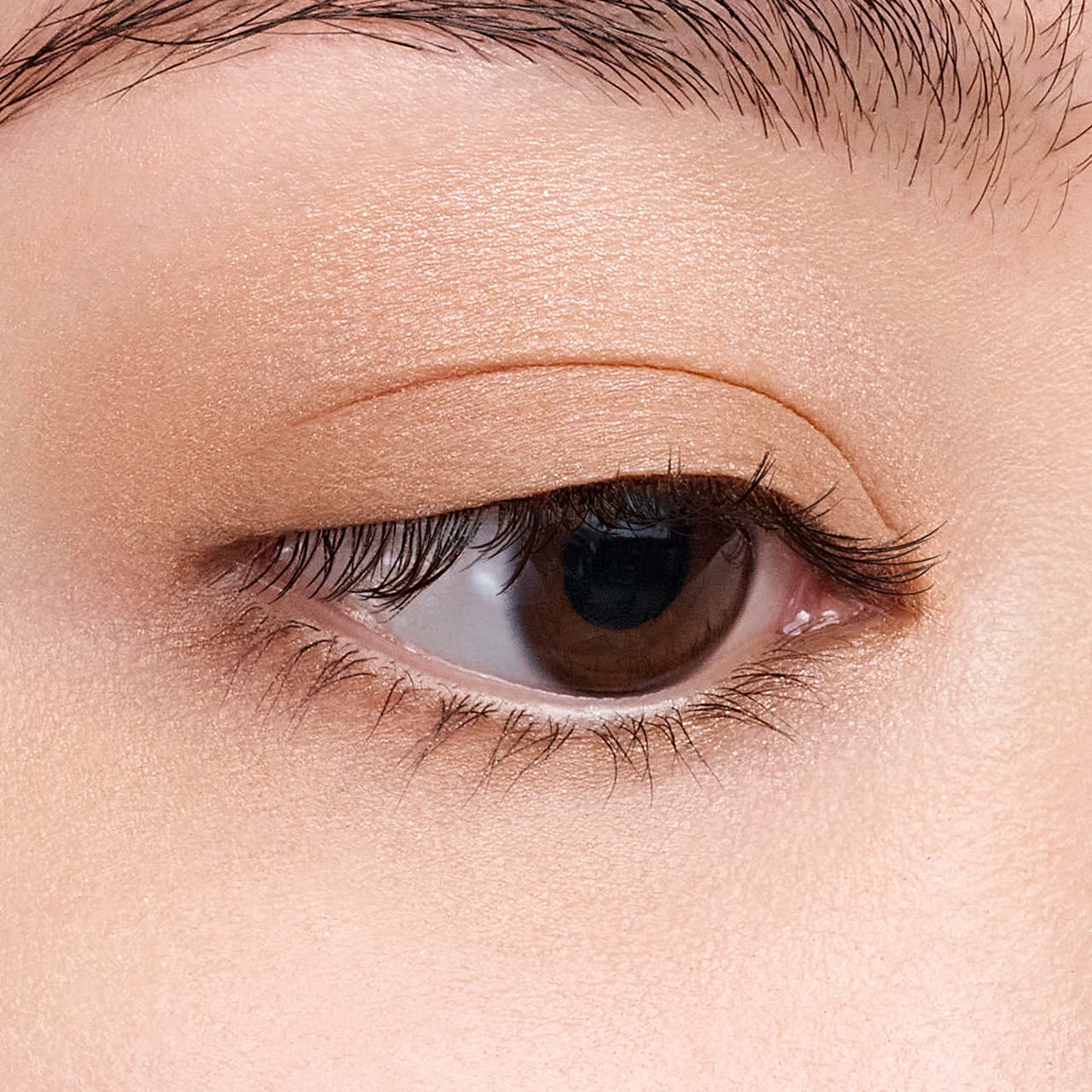 Elegance Harmony Eyes