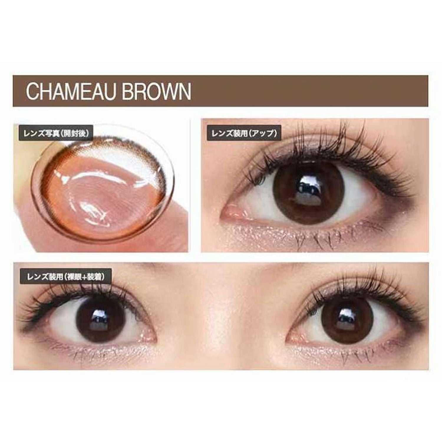Envie UV One-Day Color Contact Lenses Chameau Brown