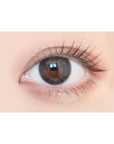 Envie UV One-Day Color Contact Lenses Champagne Gray