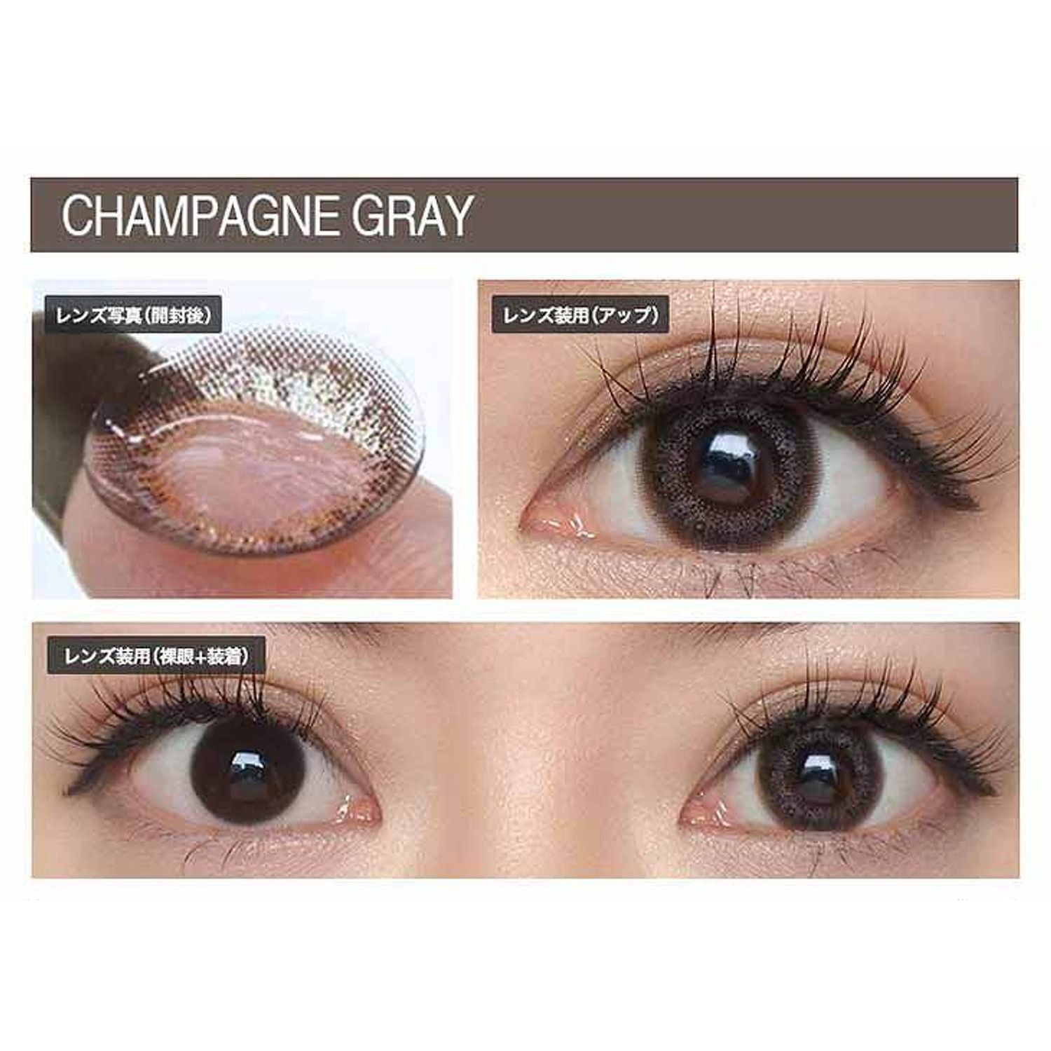 Envie UV One-Day Color Contact Lenses Champagne Gray