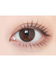Envie UV One-Day Color Contact Lenses Maroon Black