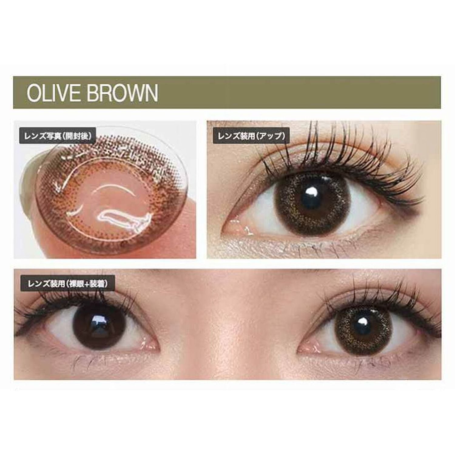 Envie UV One-Day Color Contact Lenses Olive Brown