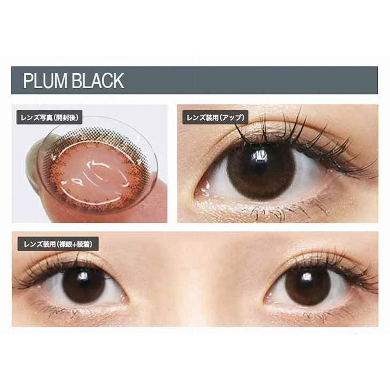 Envie UV One-Day Color Contact Lenses Plum Black