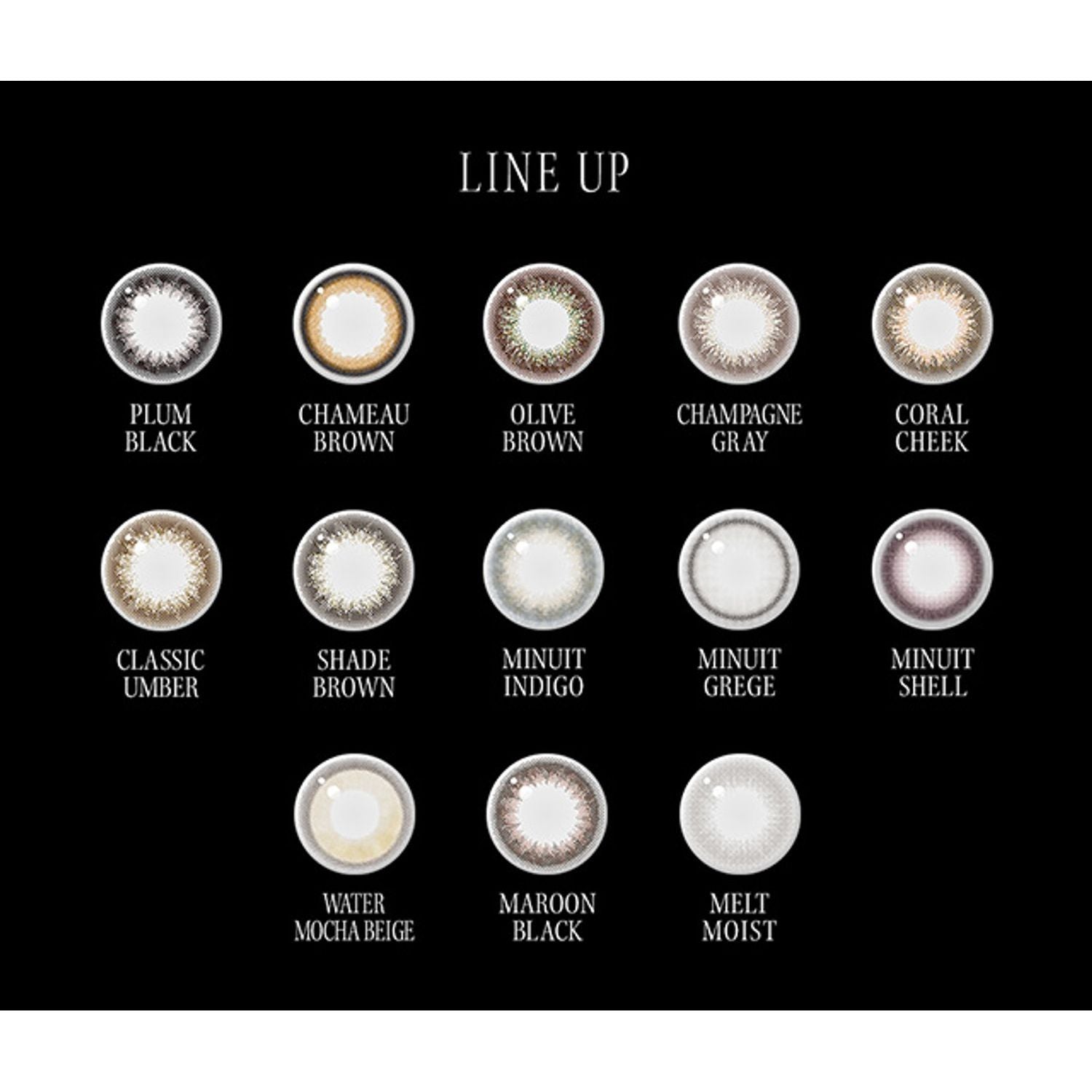 Envie UV One-Day Color Contact Lenses Minuit Indigo