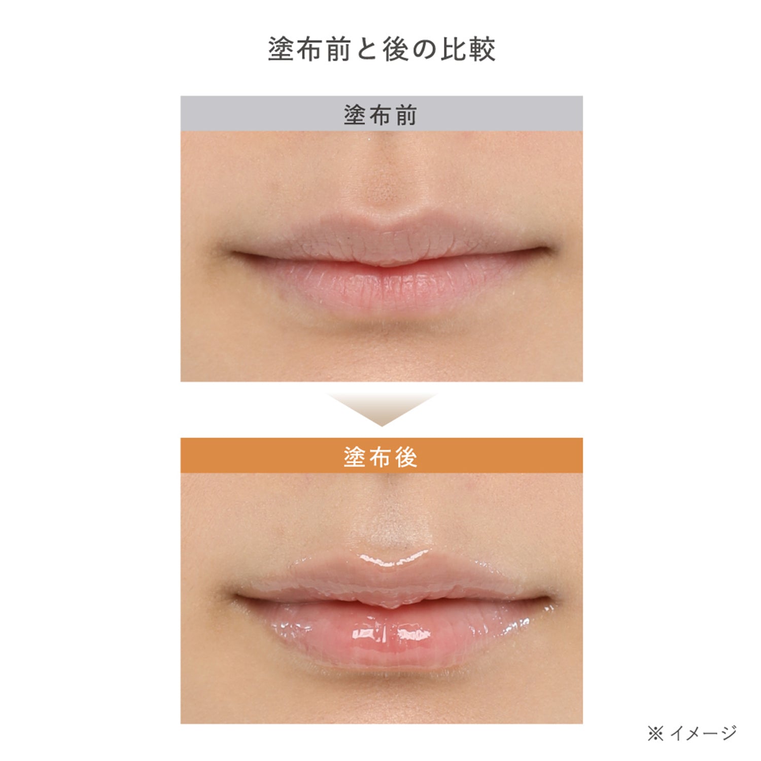 Est The Lip Serum