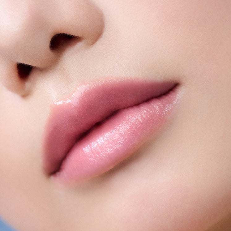 Etvos 2025 Holiday Coffret – Ichiban Mart