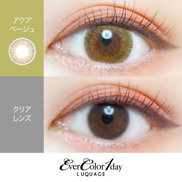 EverColor 1 Day Luquage Contact Lenses Aqua Beige