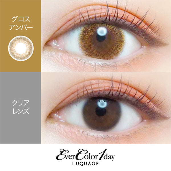 EverColor 1 Day Luquage Contact Lenses Gloss Amber