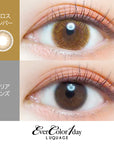 EverColor 1 Day Luquage Contact Lenses Gloss Amber