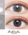 EverColor 1 Day Luquage Contact Lenses Misty Ash