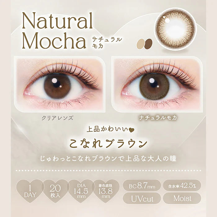 EverColor 1 Day Natural Contact Lenses Natural Mocha