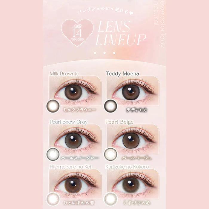 EverColor 1 Day Natural Contact Lenses Natural Mocha