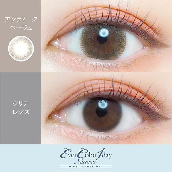 EverColor 1 Day Natural Moist Label UV Contact Lenses Antique Beige