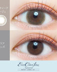 EverColor 1 Day Natural Moist Label UV Contact Lenses Antique Beige