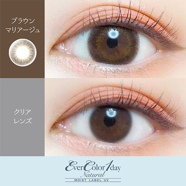 EverColor 1 Day Natural Moist Label UV Contact Lenses Brown Mariage