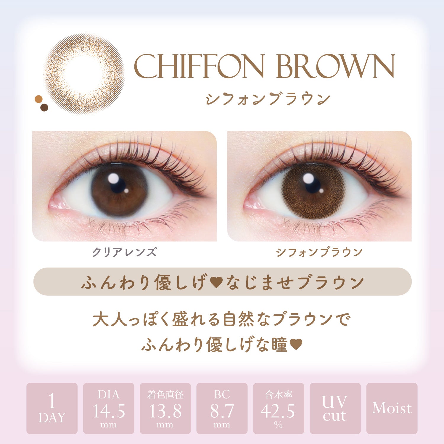 EverColor 1 Day Natural Moist Label UV Contact Lenses Chiffon Brown