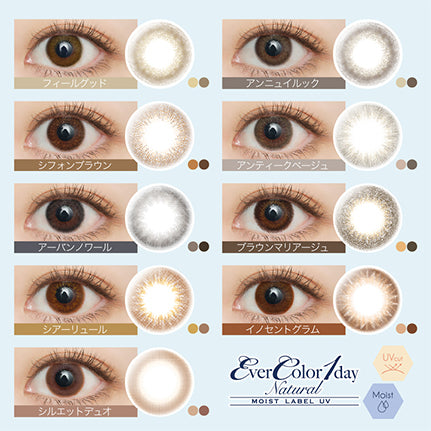 EverColor 1 Day Natural Moist Label UV Contact Lenses Antique Beige