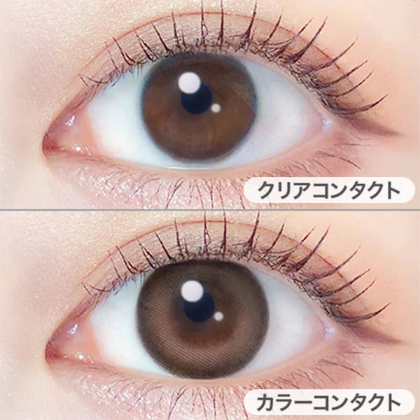 EverColor Monthly Contact Lenses Milk Brownie