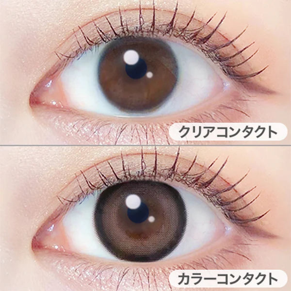 EverColor Monthly Contact Lenses Teddy Mocha