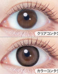 EverColor Monthly Contact Lenses Teddy Mocha